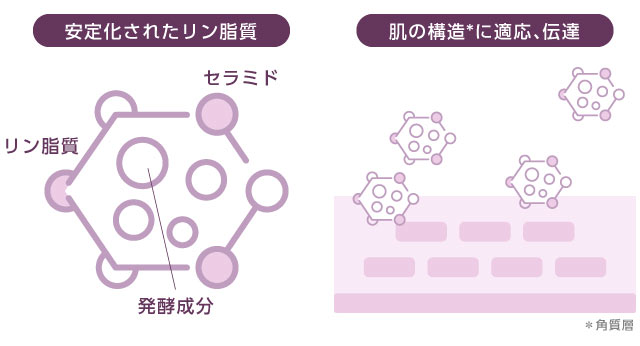 ミシャレボリューション5th