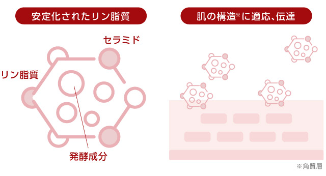 タイム ザ ファースト トリートメント エッセンス 5th